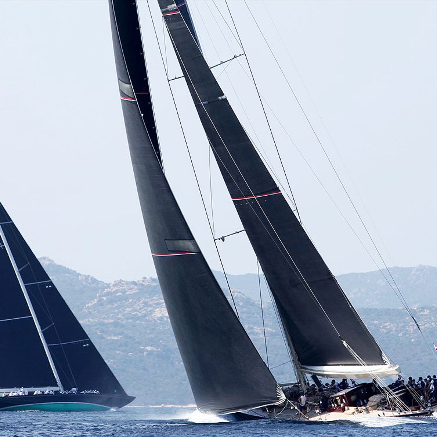 SailBiz\'s show