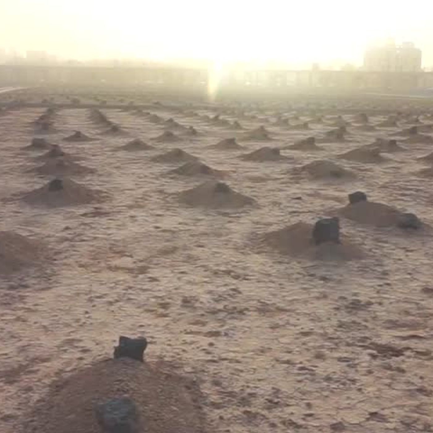 Description of The Punishment of The Grave | Abu Haroon Muhammad at-Taweel episode artwork