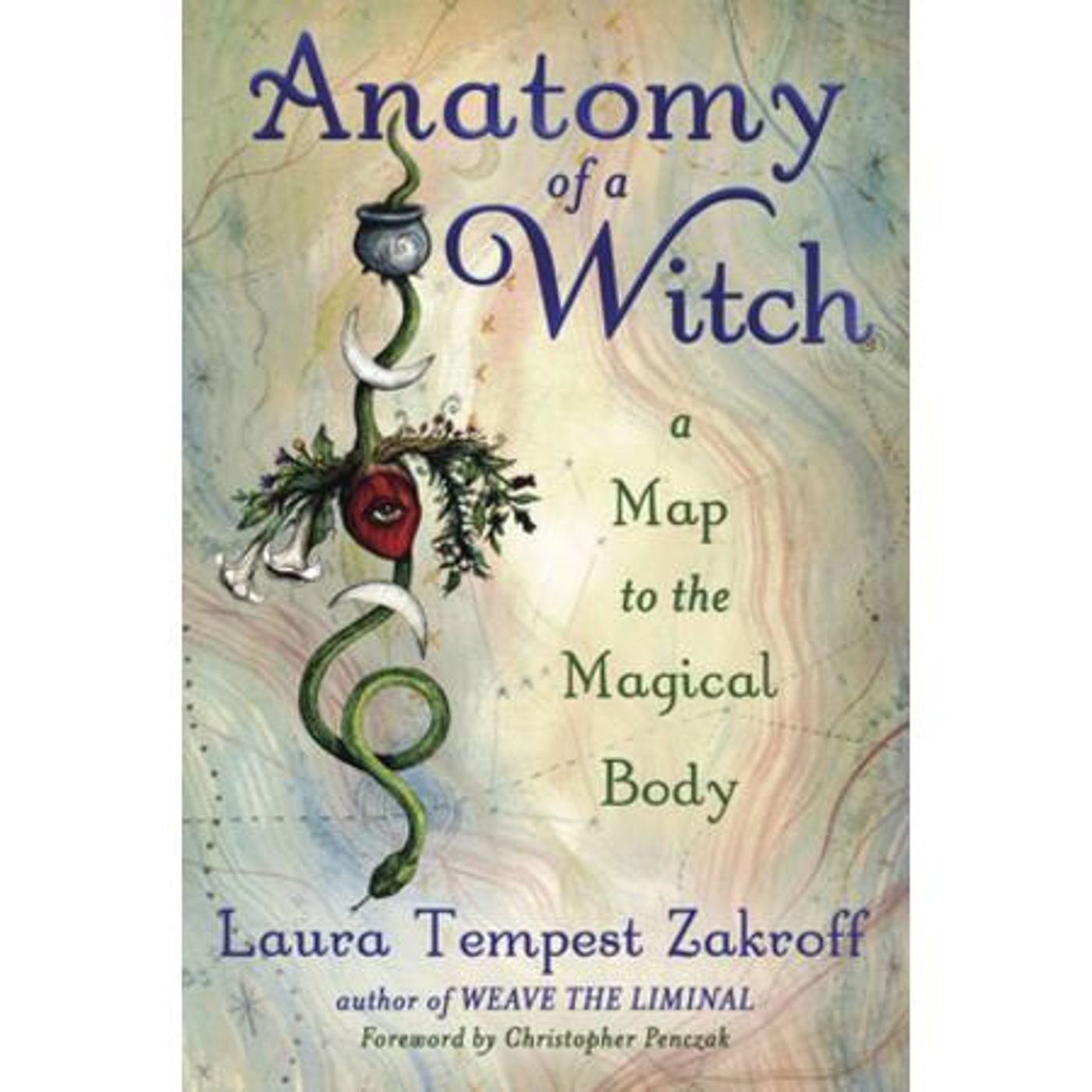 Desperate House Witches