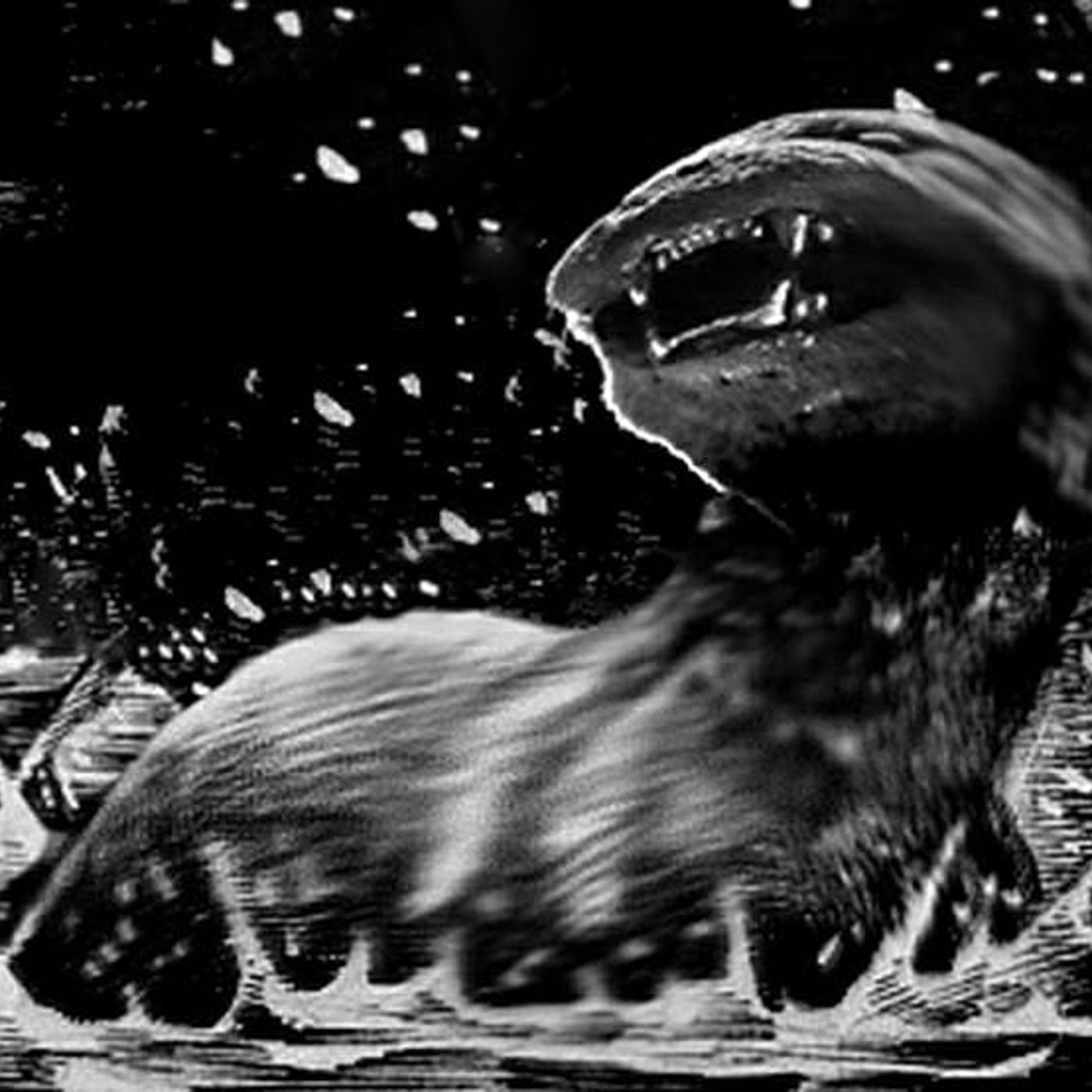230 - Otter King & Other Things