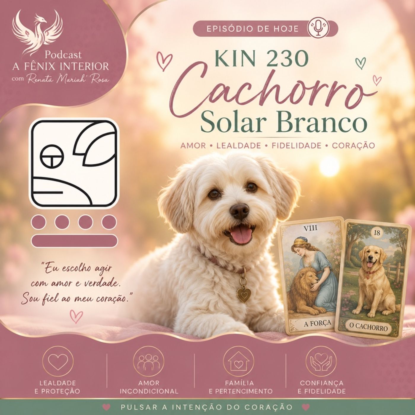 Kin 230 | Cachorro Solar Branco episode artwork