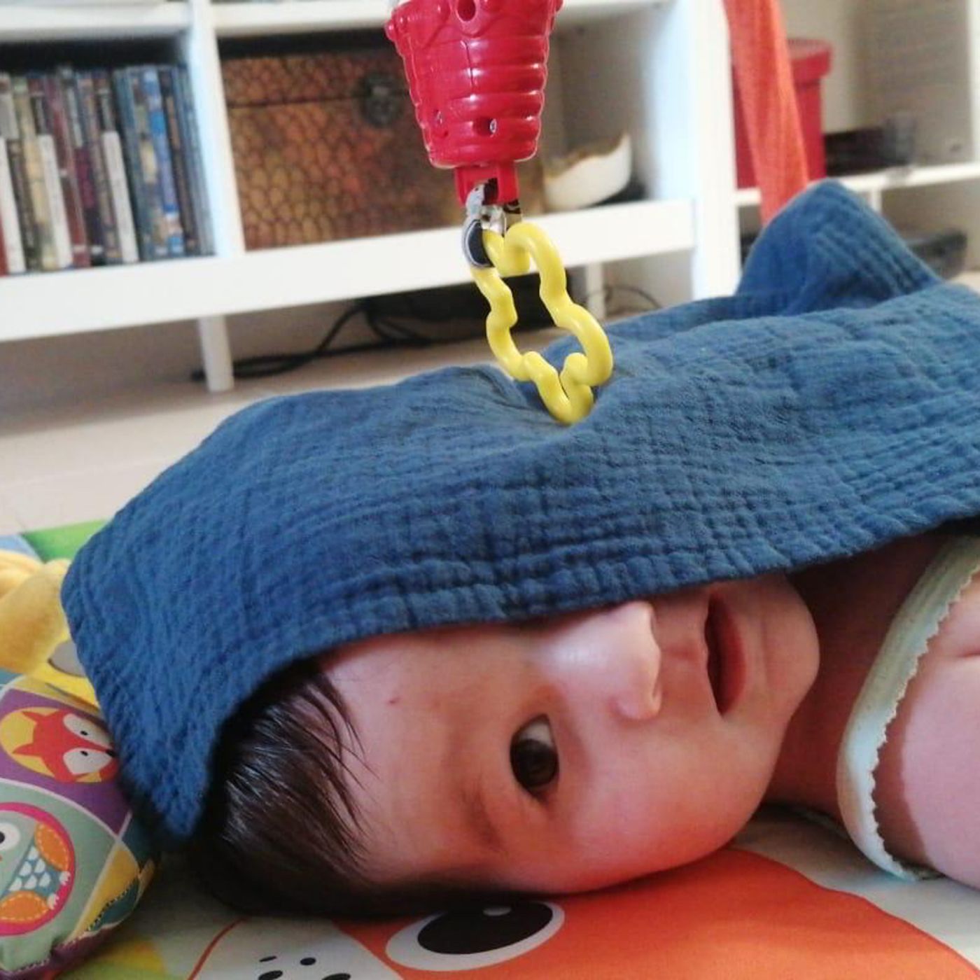 Camila y el juguete encantado