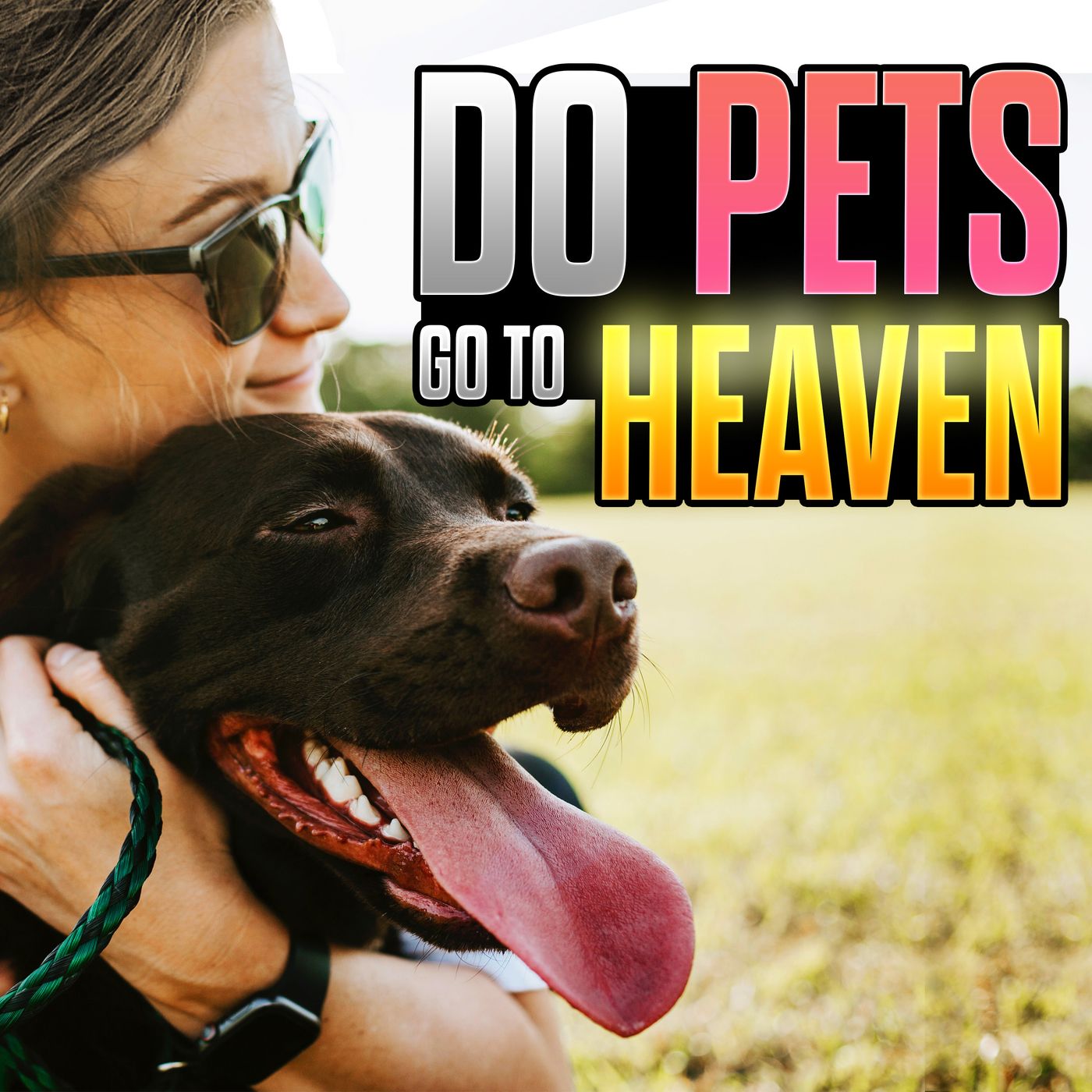 Episode 137 - Will Pets Be in Heaven