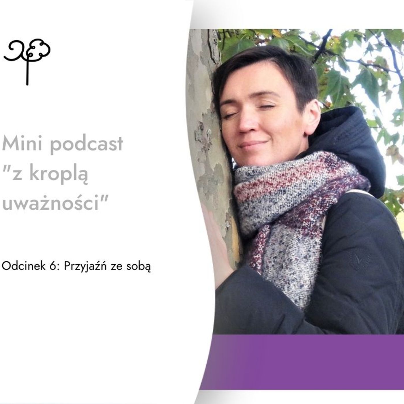 Mini podcast \