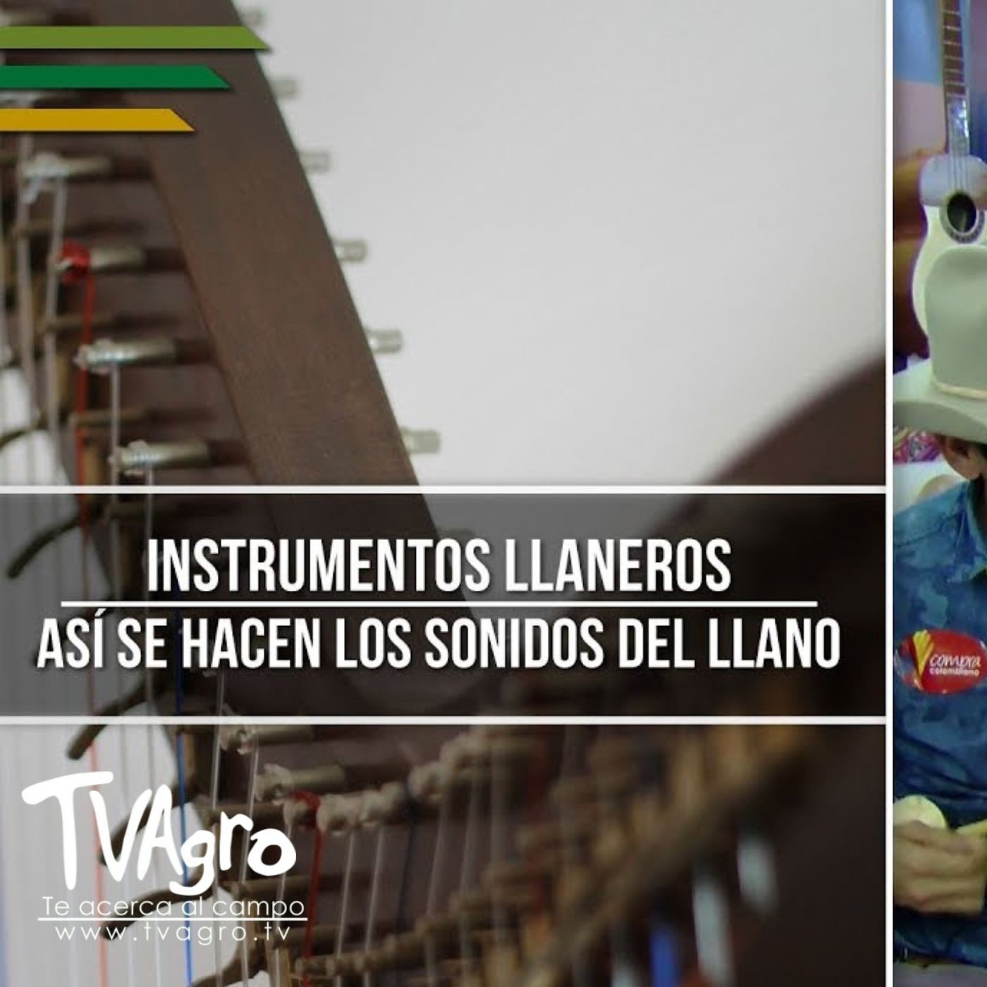TV AGRO