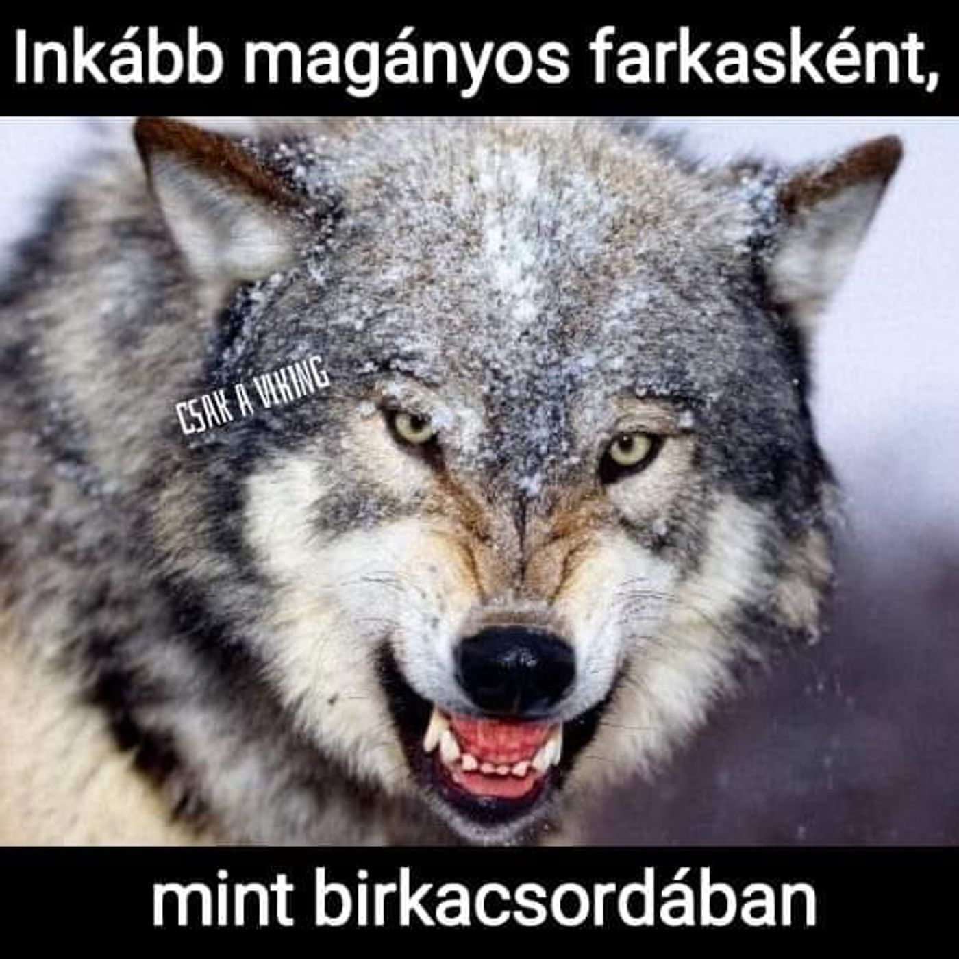 RELAX RADIO  - TUDATOS EMBEREK RÁDIÓJA
