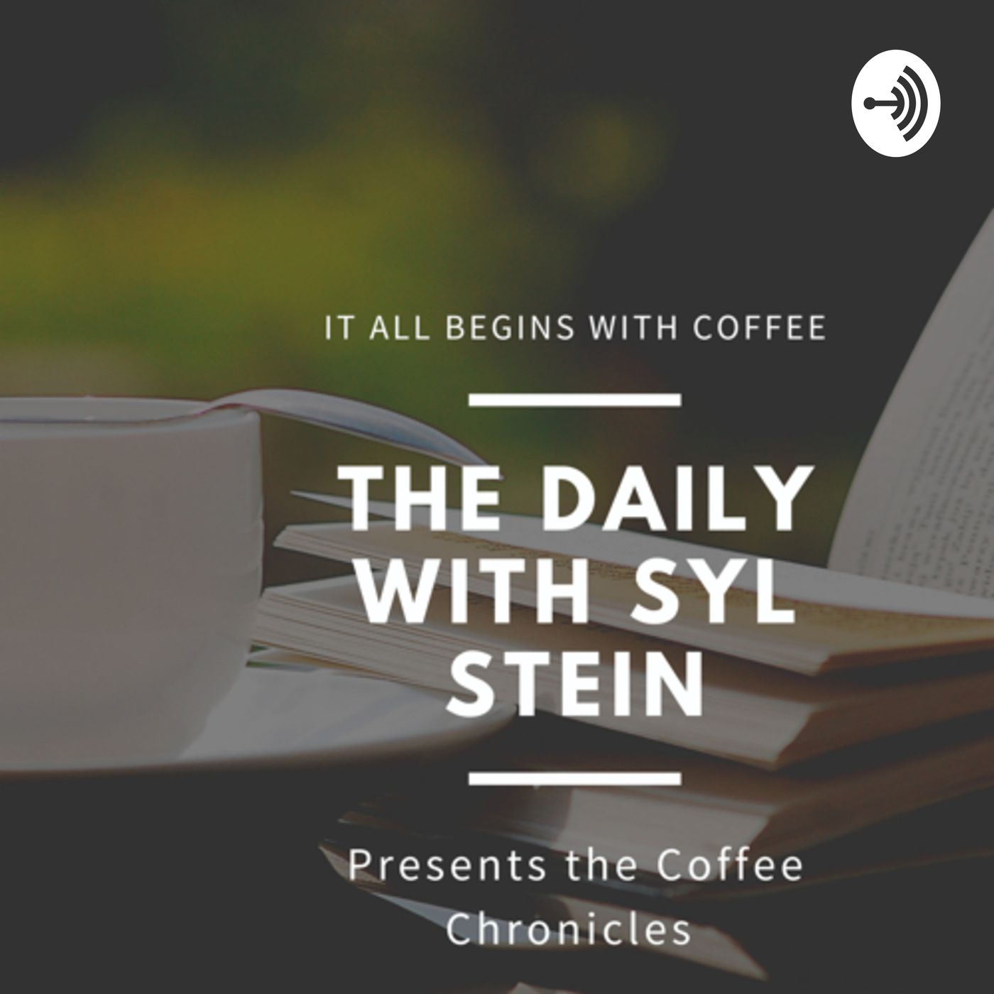 The daily with syl stein