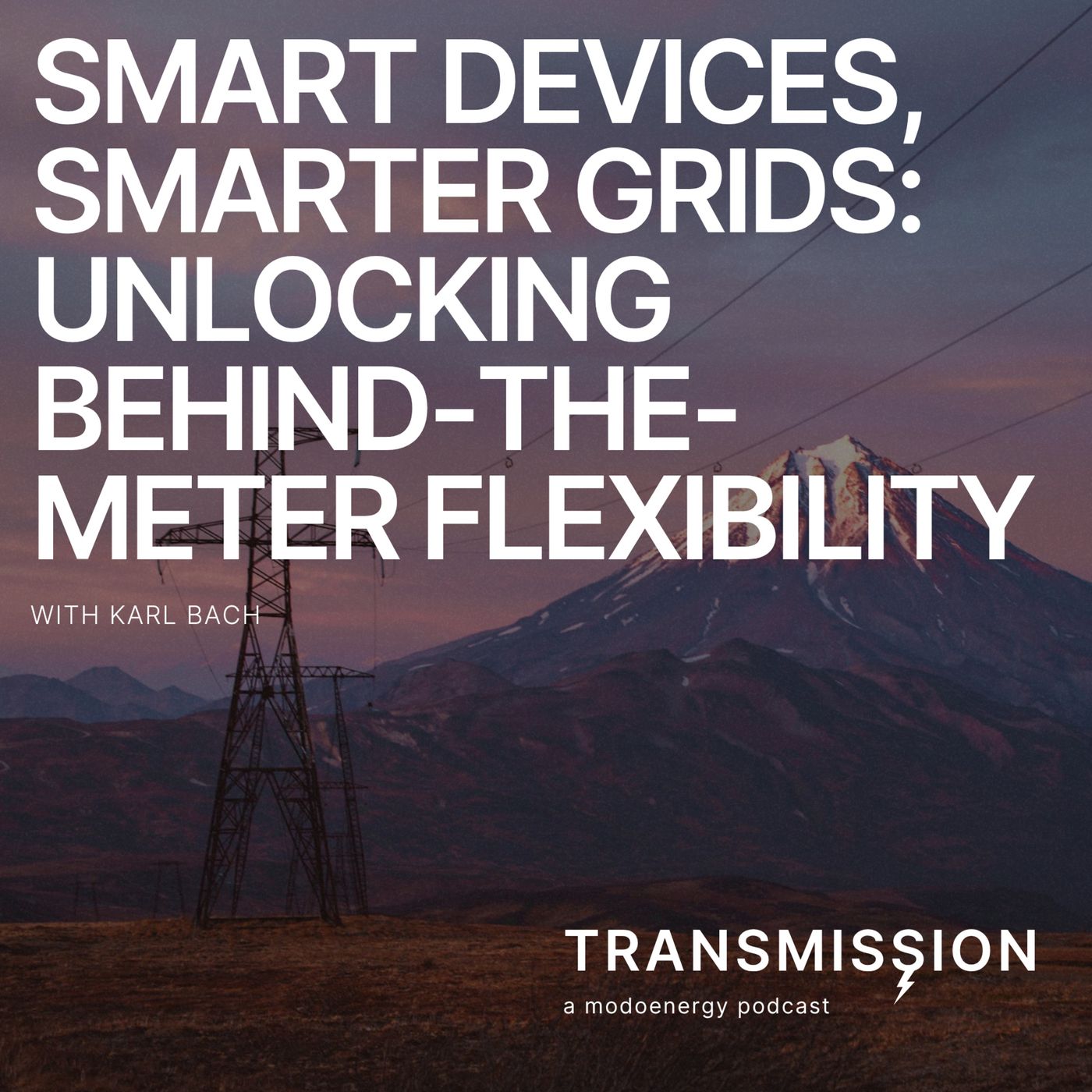 Smart Devices, Smarter Grids: Unlocking Behind-the-Meter Flexibility with Karl Bach (CEO & Co-Founder @ Axle Energy)