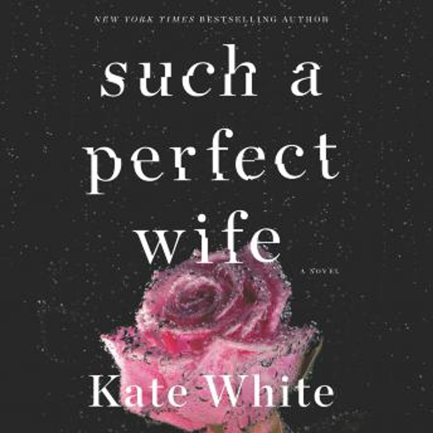 Download Best Full-Length Audiobooks in Fiction, Contemporary Women