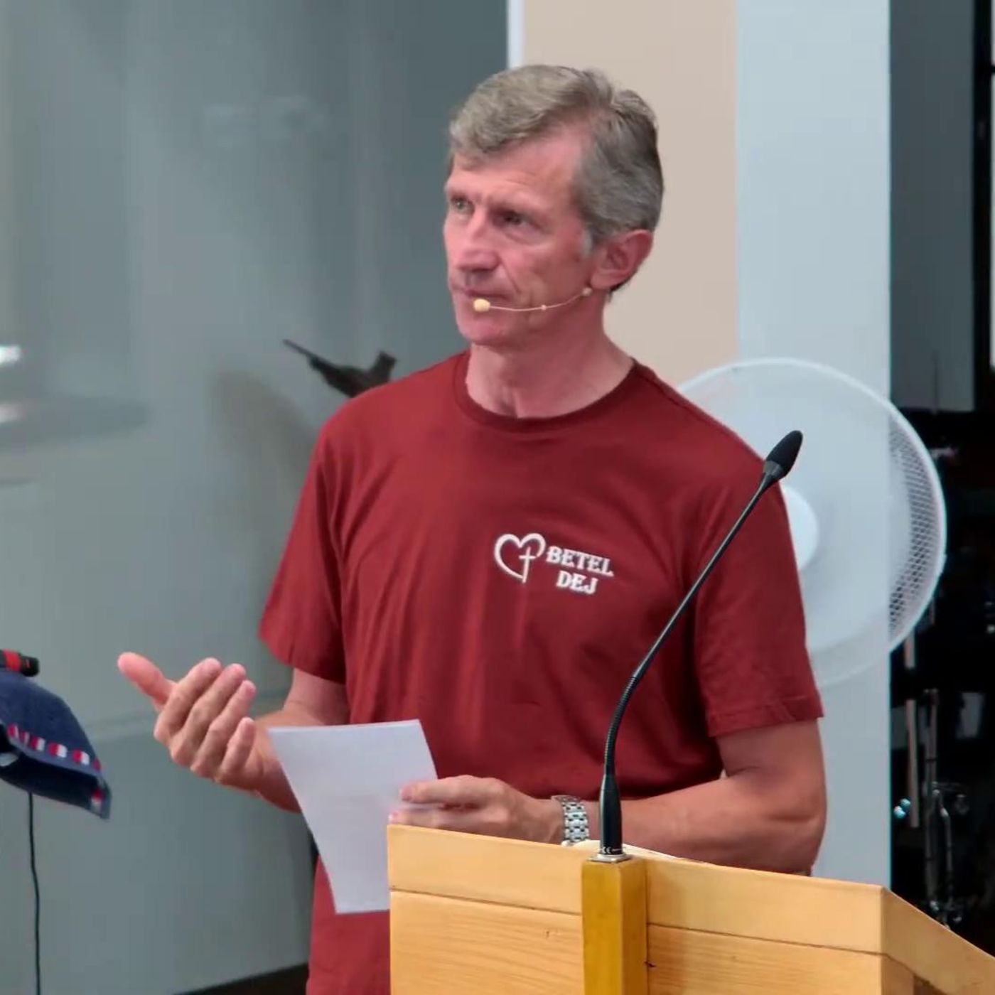 Cine-i șeful? - Nelu Mureșan Cine-i șeful? - Nelu Mureșan