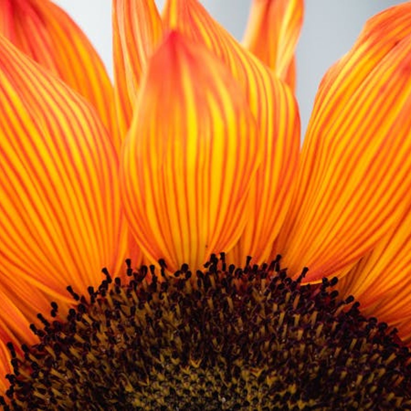 What’s the Essence of Love?