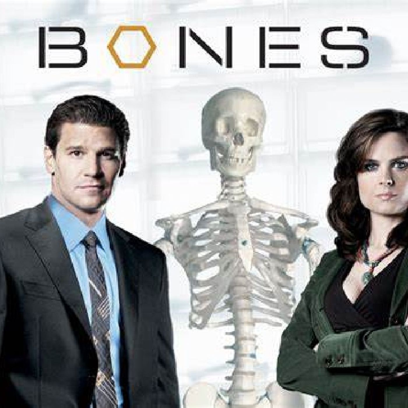 Bones episode artwork