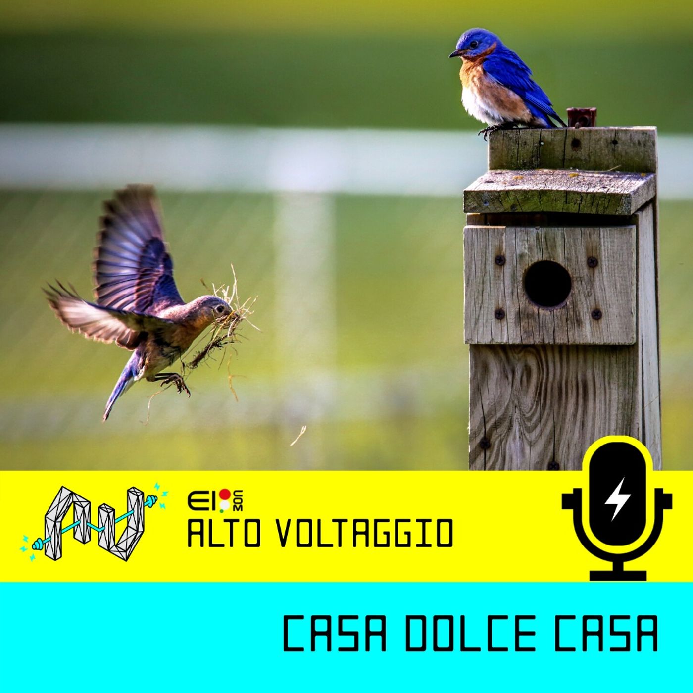 Alto Voltaggio