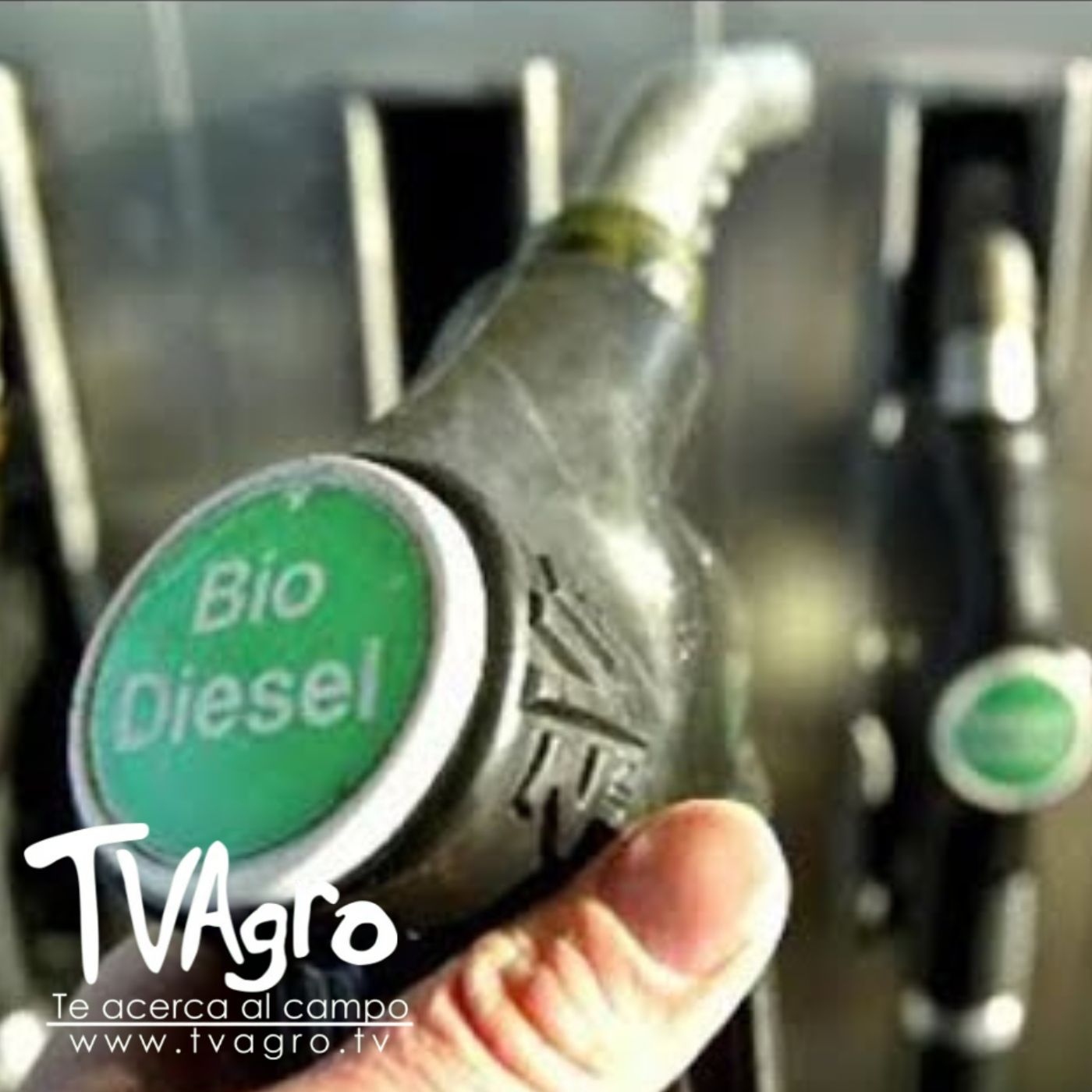 TV AGRO