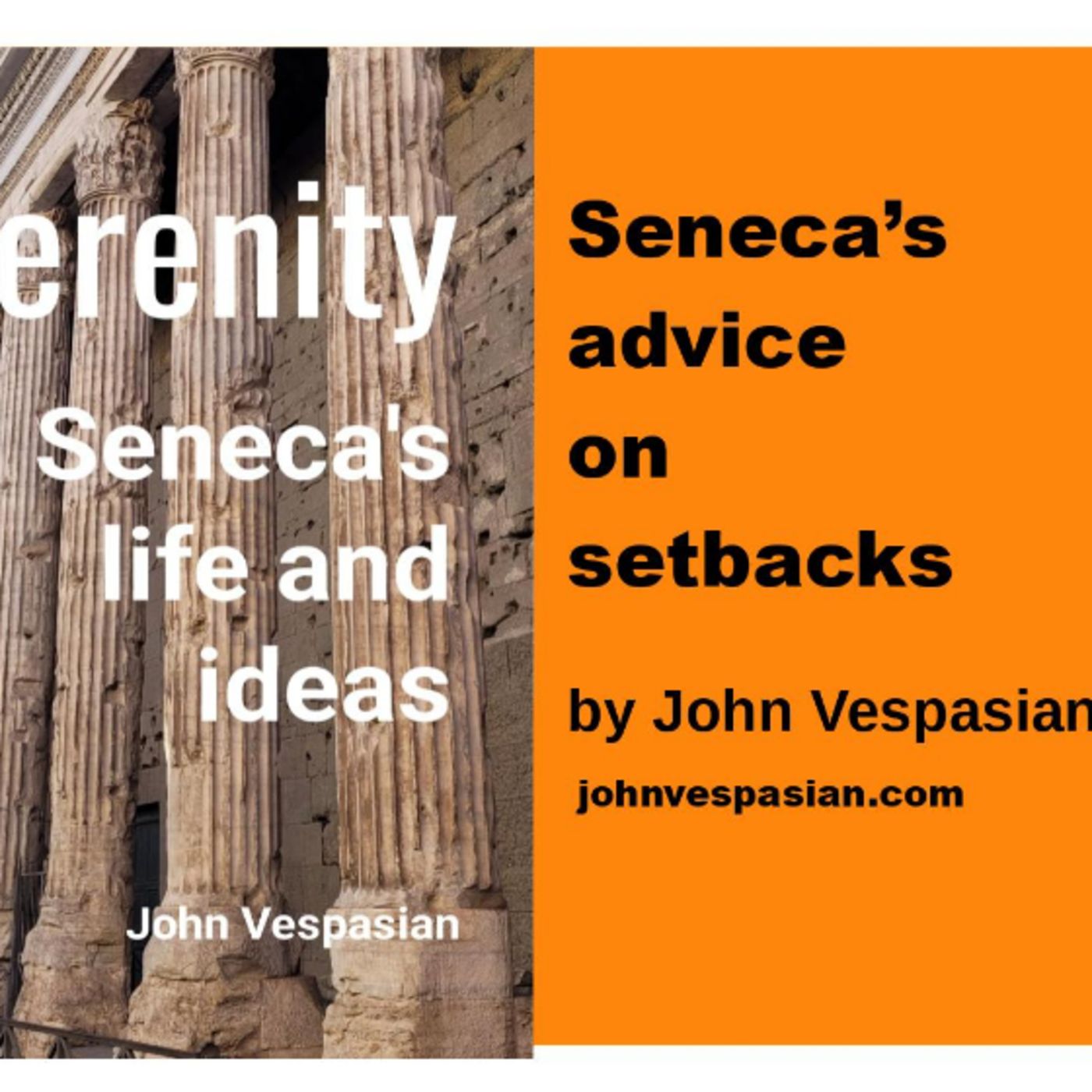 Seneca’s advice on setbacks episode artwork