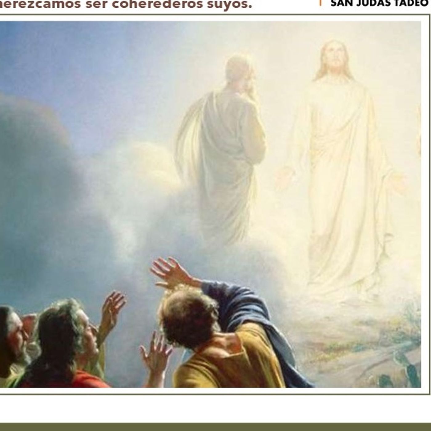 LA PALABRA EN EL CAMINO