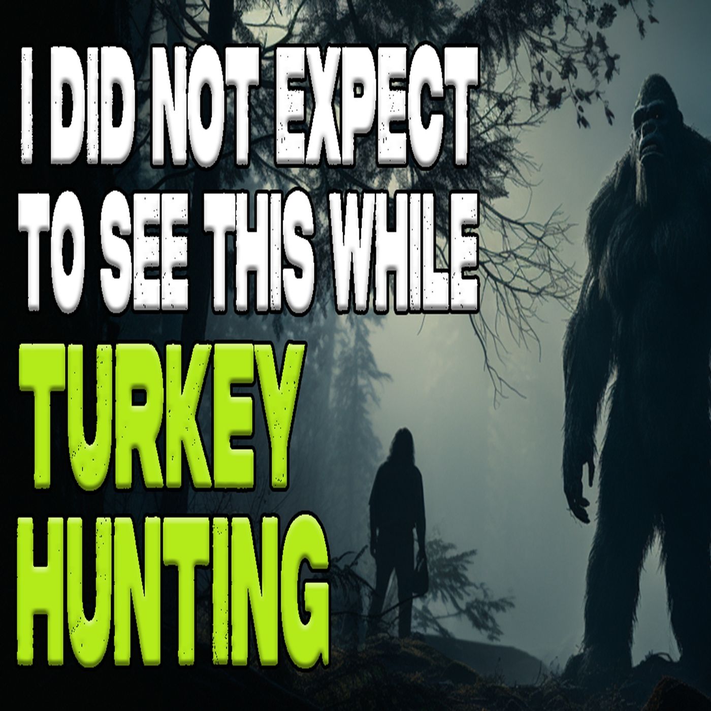 I Did Not Expect to See This While Turkey Hunting