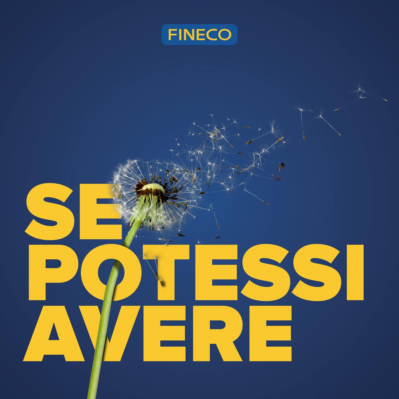 Se potessi avere