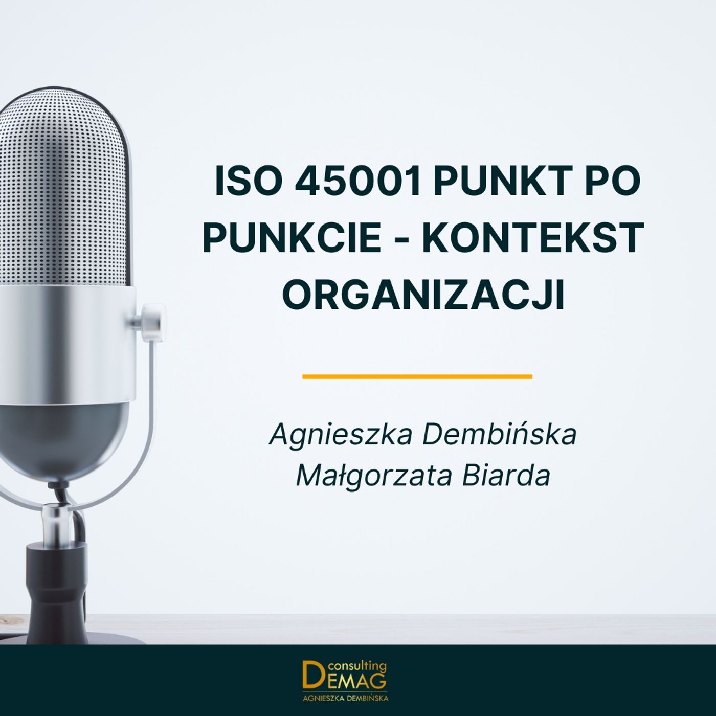 Demag - doradztwo techniczne