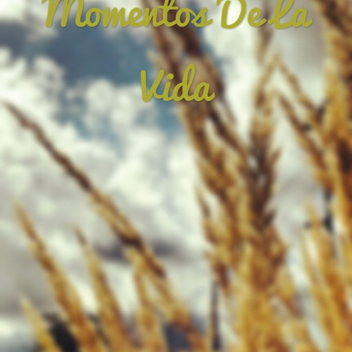 Momentos De La Vida - Capítulo 1. episode artwork