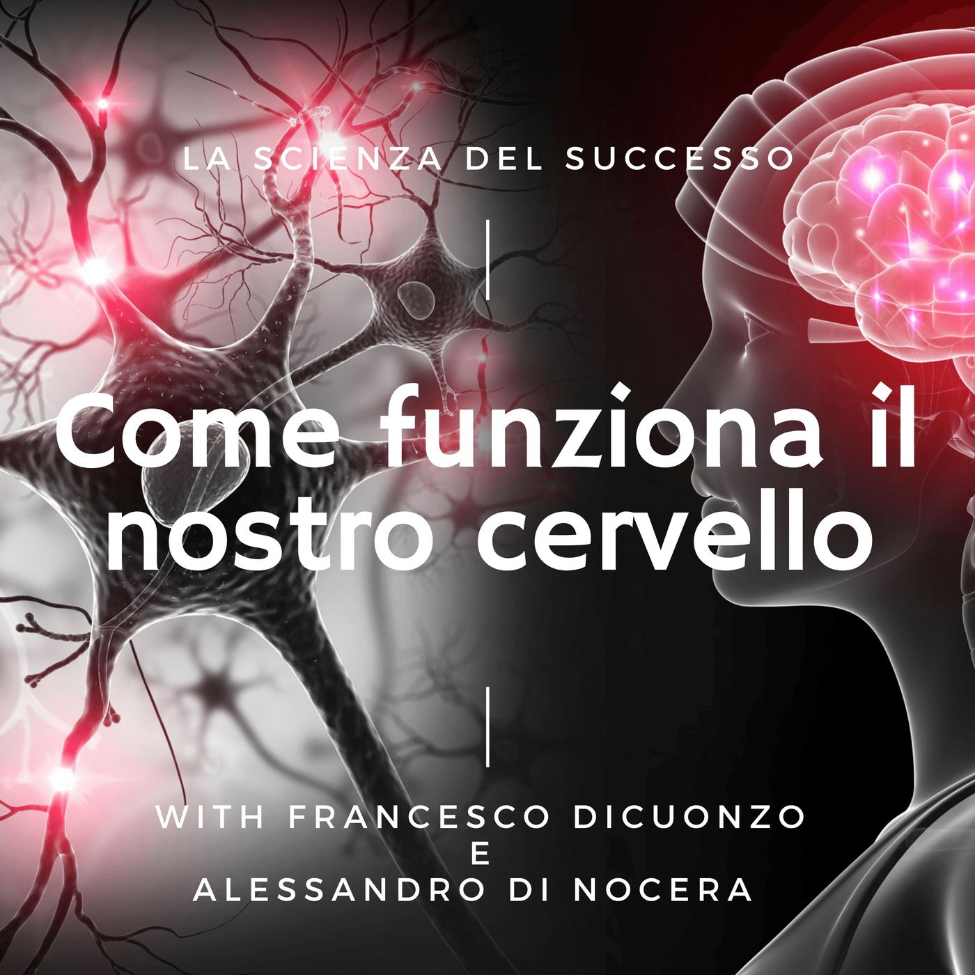 5. Come funziona il nostro cervello