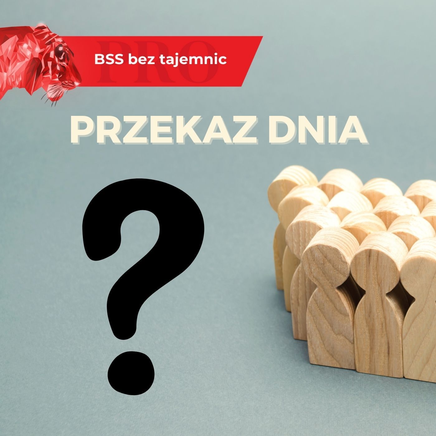 BSS bez tajemnic