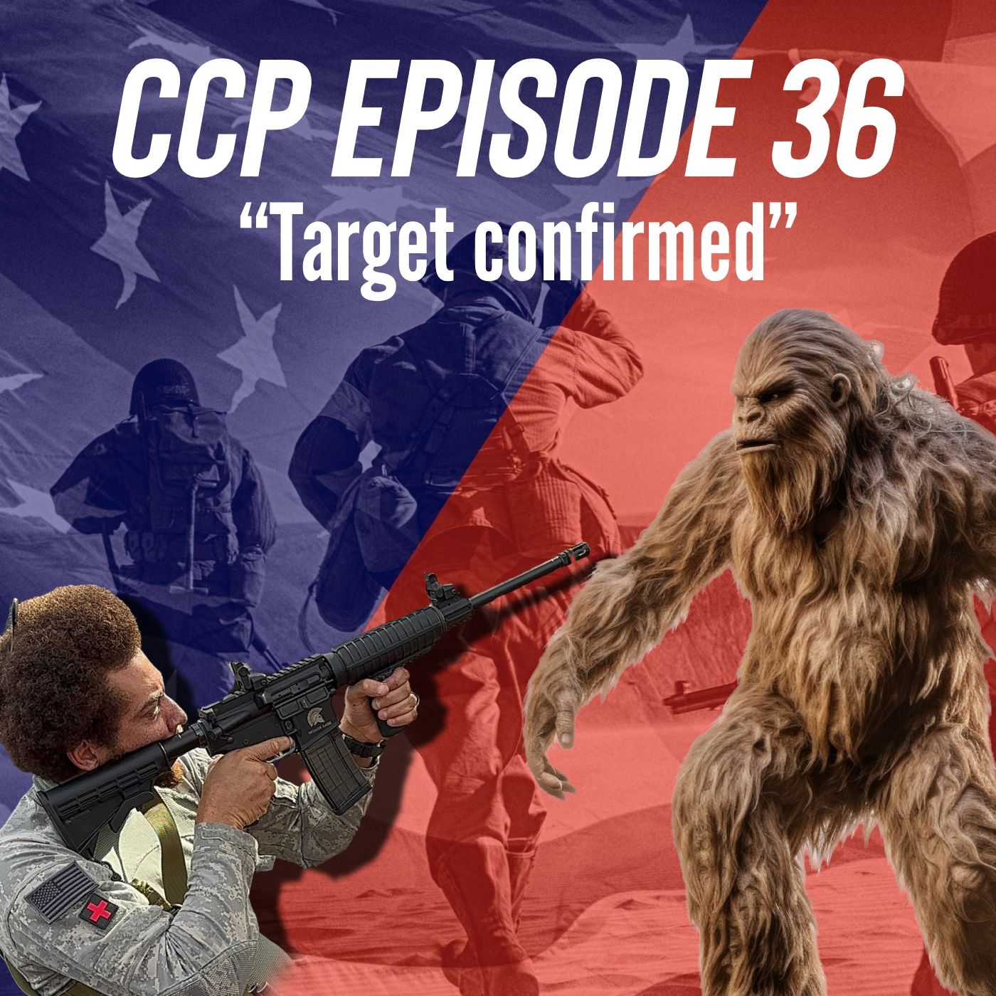 Combat Cub Podcast