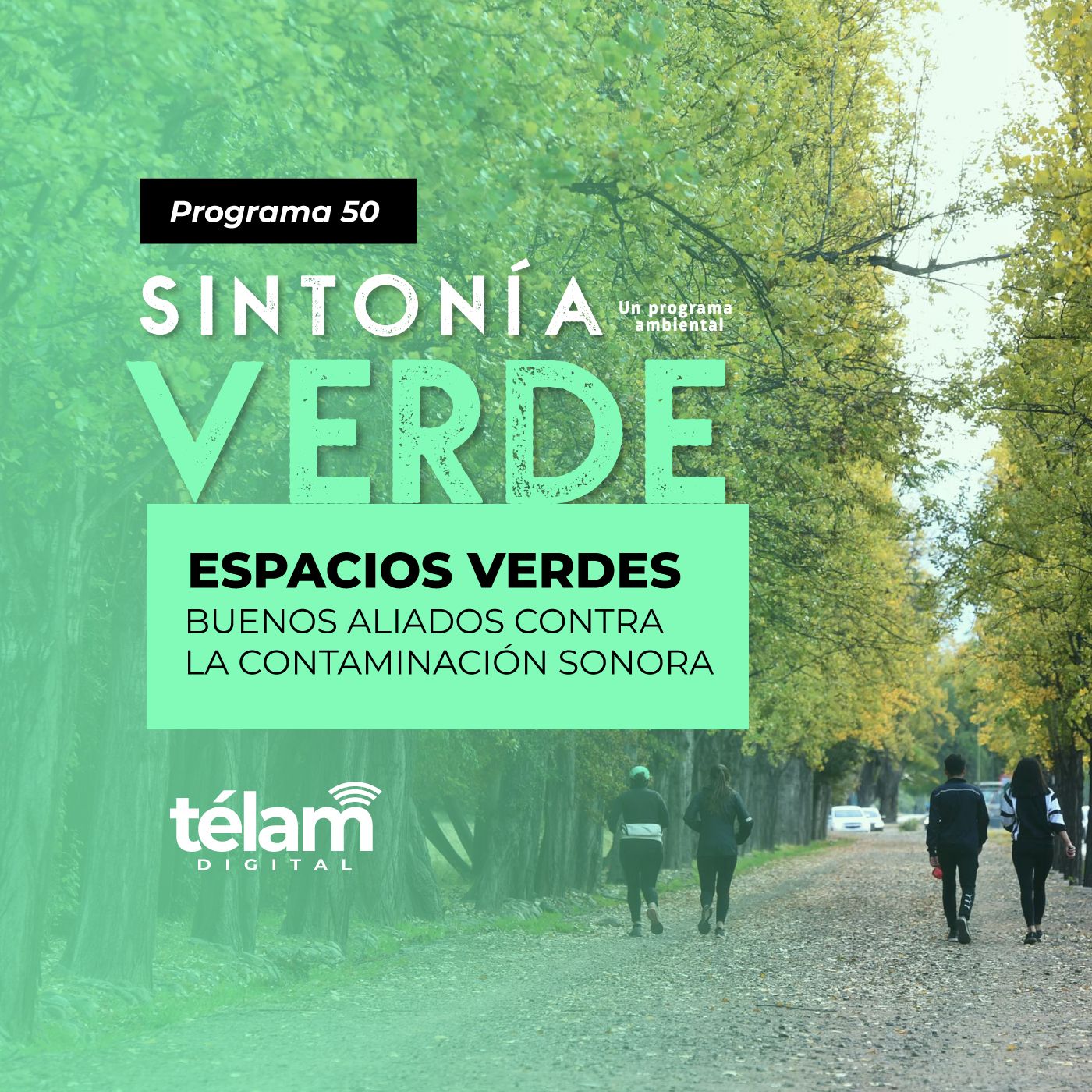 cover of episode Espacios verdes: Buenos aliados contra la contaminación sonora