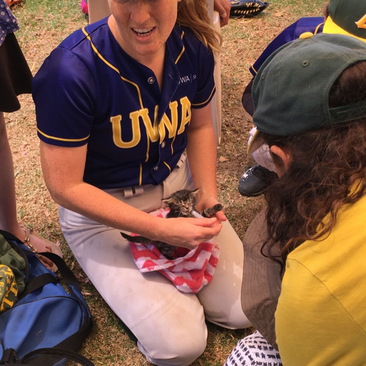 Ladywhips Baseball