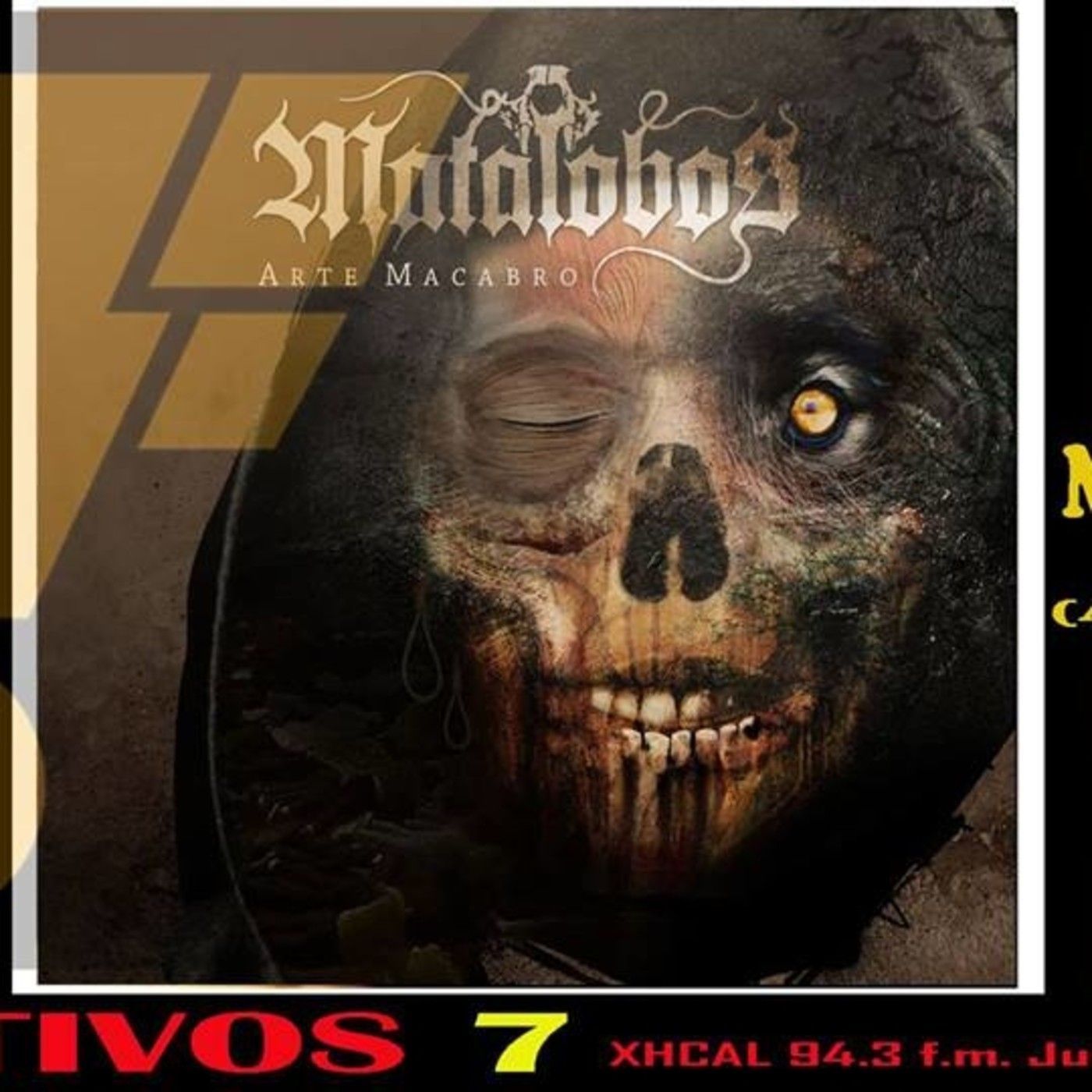 Portada de FURTIVOS.