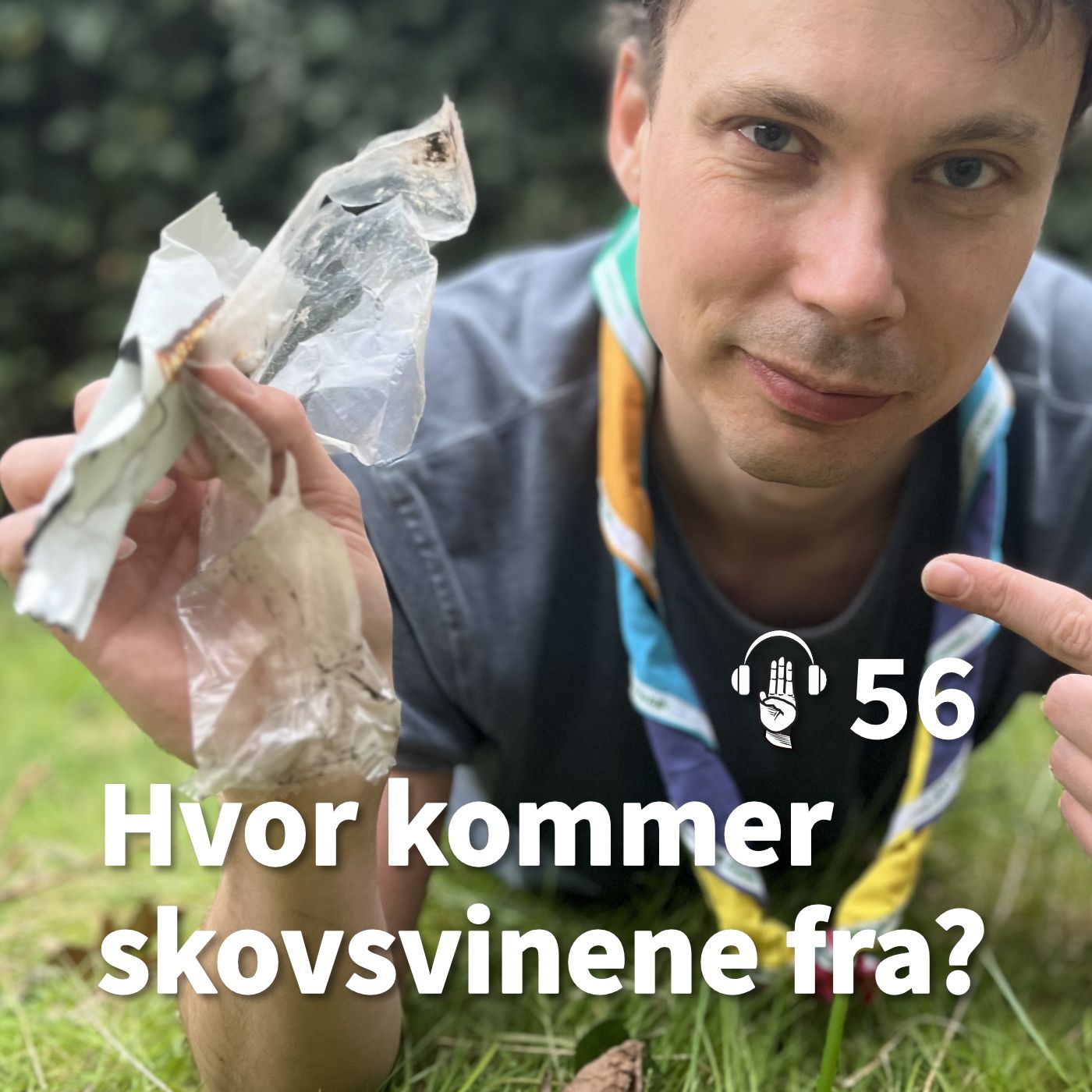 56: Hvor kommer skovsvinene fra?