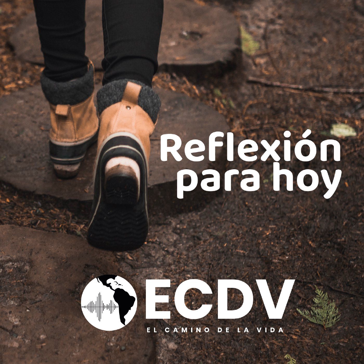 Los sucesos de la vida - RPH 4993