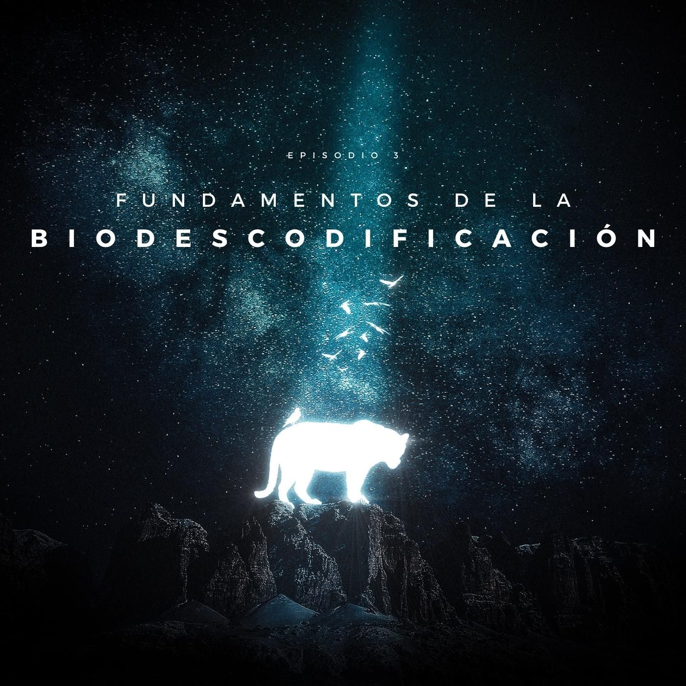 Biodescodificación Para Todos