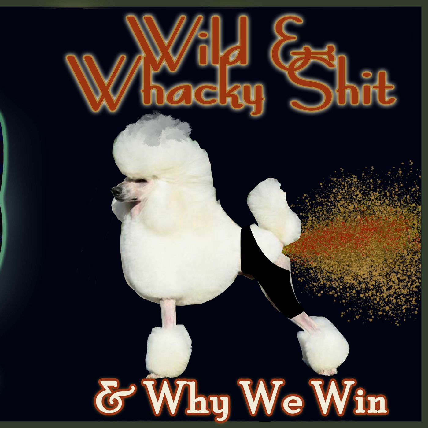 Wild & Whacky Shit - & Why We Win