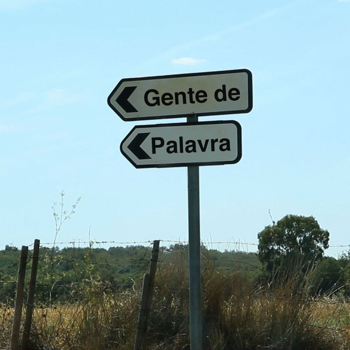 O valor da palavra episode artwork