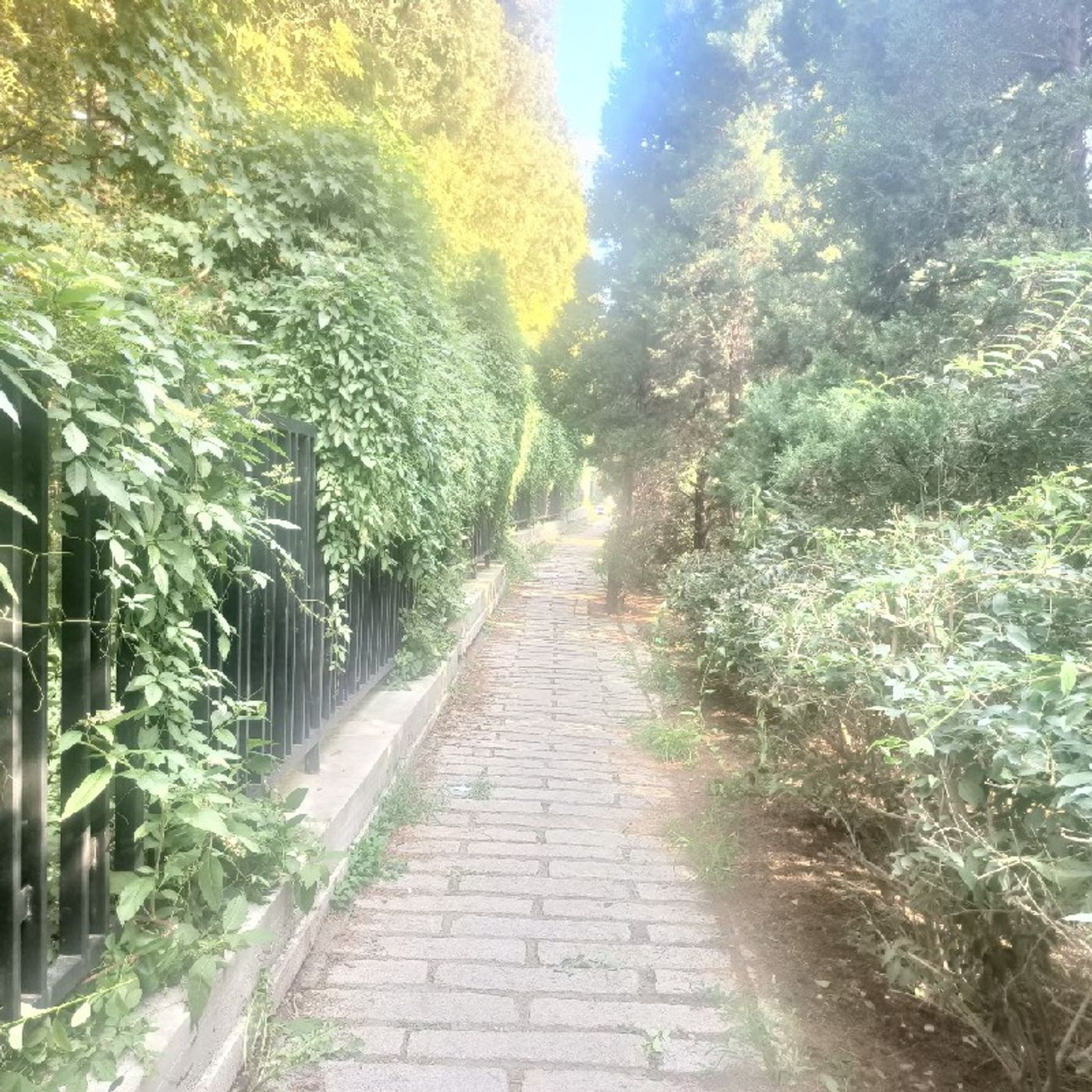 看见seen