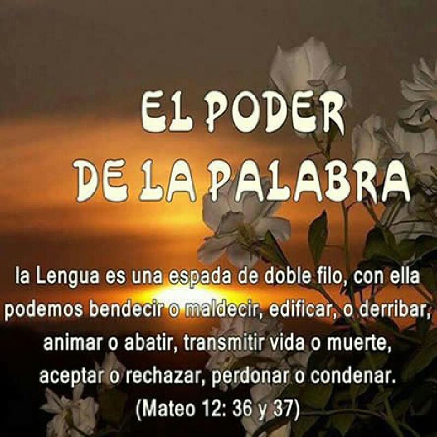 EL PODER DE LA PALABRA