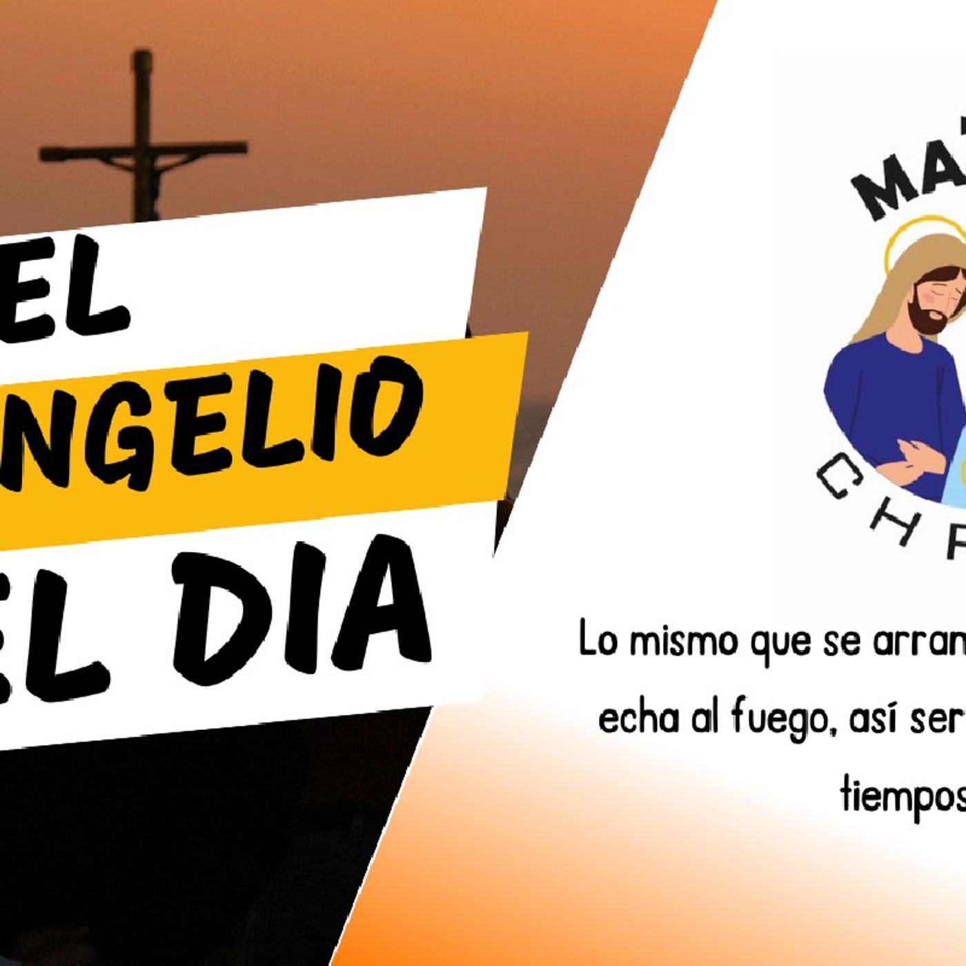 Mt 13, 36-43 • Lo mismo que se arranca la cizaña y se echa al fuego, así será al final de los tiempos. episode artwork