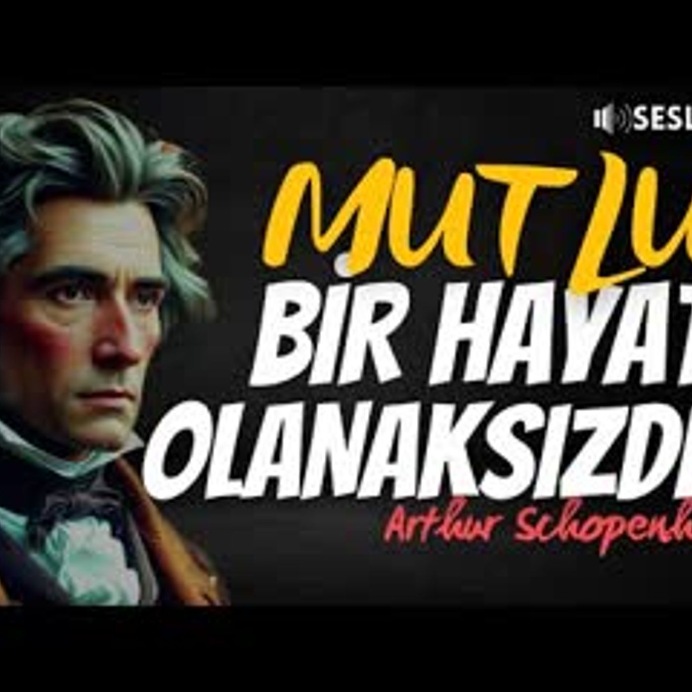 Schopenhauer Felsefesinin İyileştirici Gücü   SESLİ KİTAP - FELSEFE