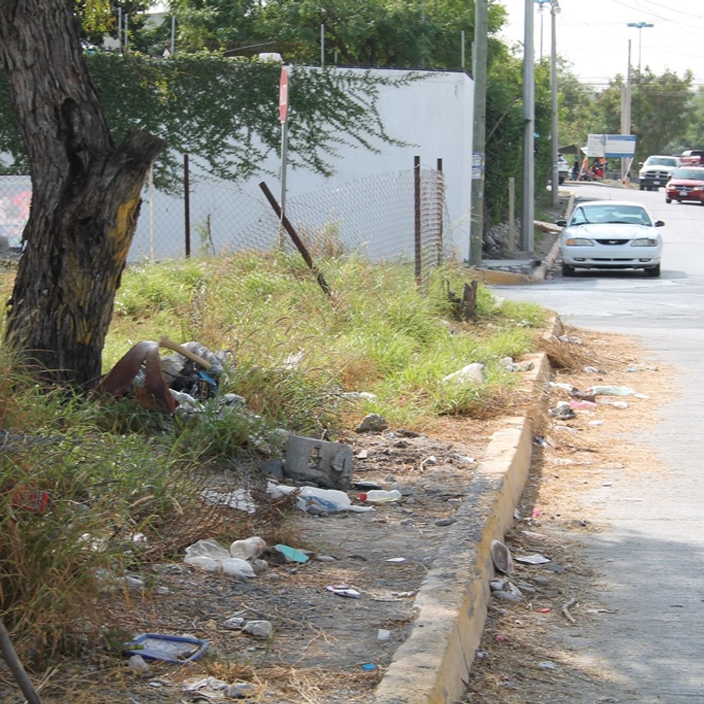 Historias de Miedo Mayo 3 de 2024 YO LA VI EN MIS SUEÑOS