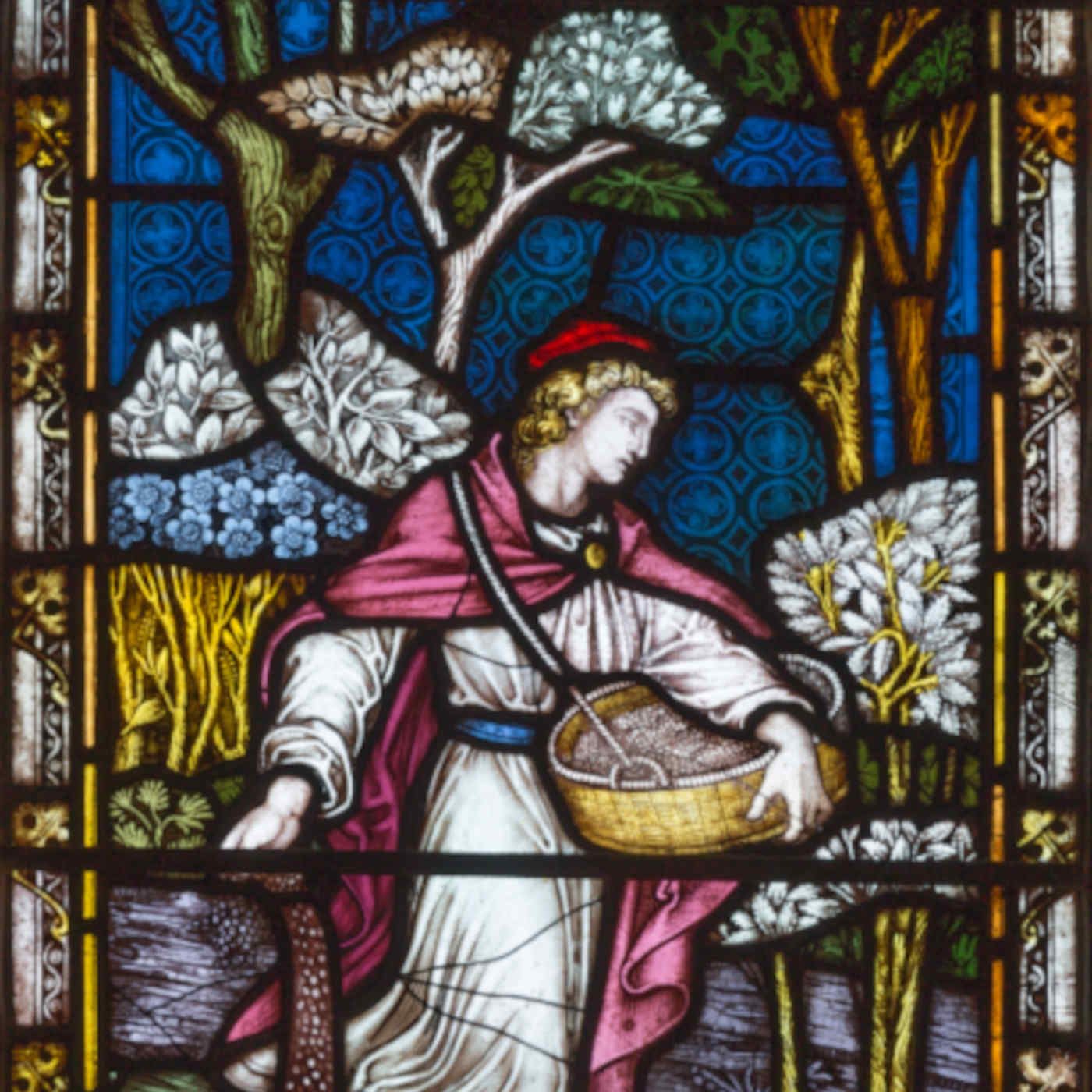 Saturday of the Twenty-fourth Week in Ordinary Time - A Heart Open to Grace