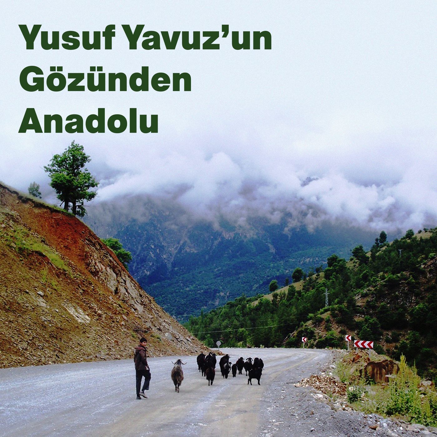 Yusuf Yavuz'un Gözünden Anadolu episode artwork
