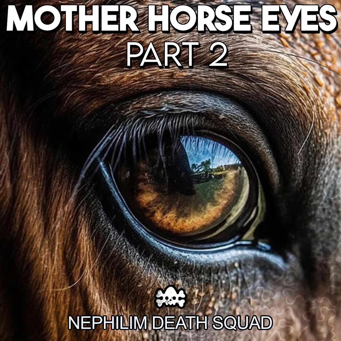 Mother Horse Eyes: Part 2