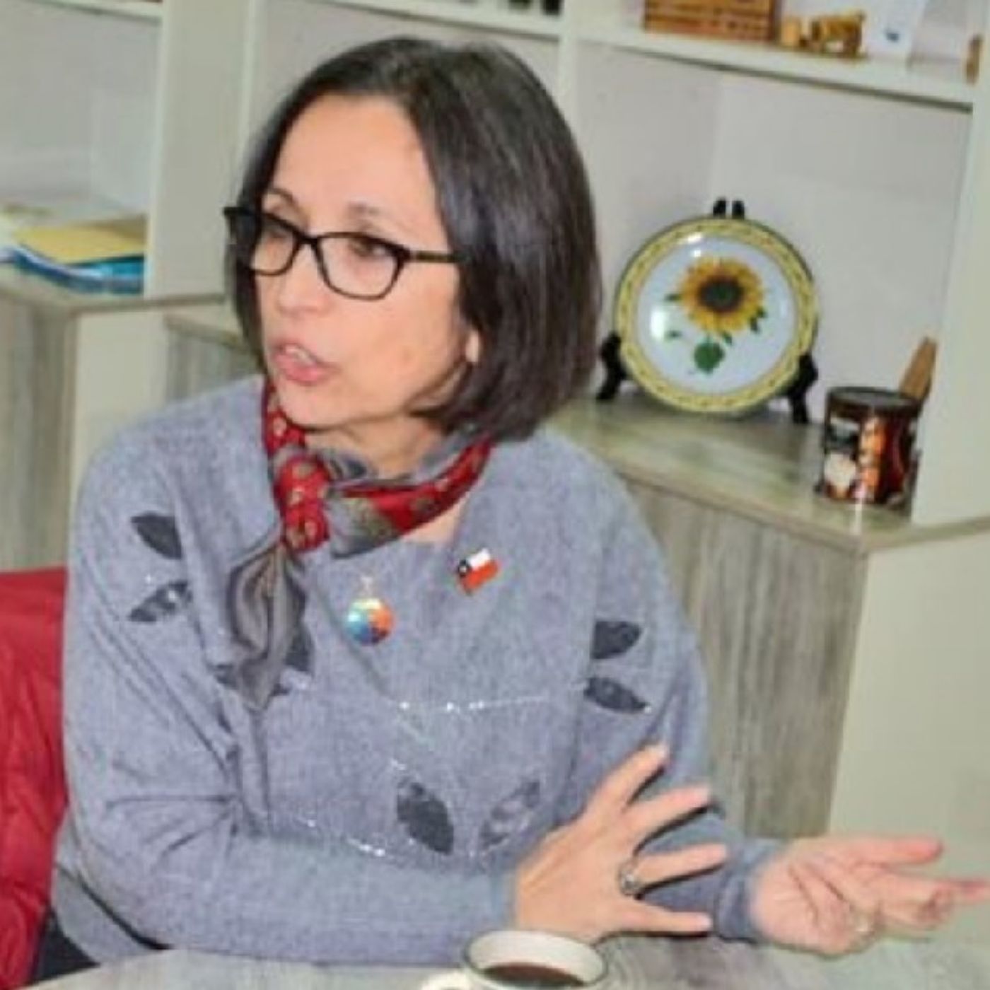 El Fueguino Radio.