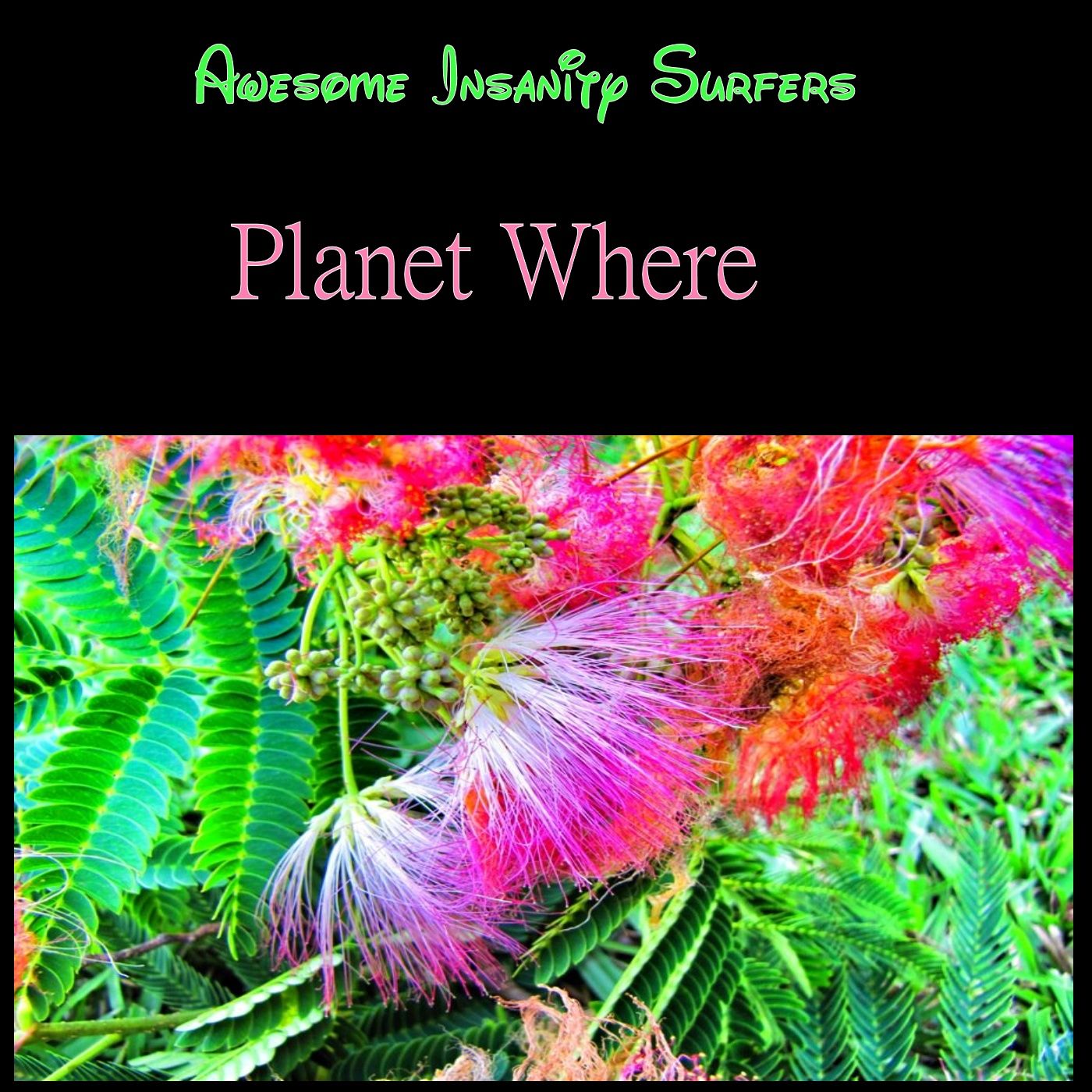 Planet Where