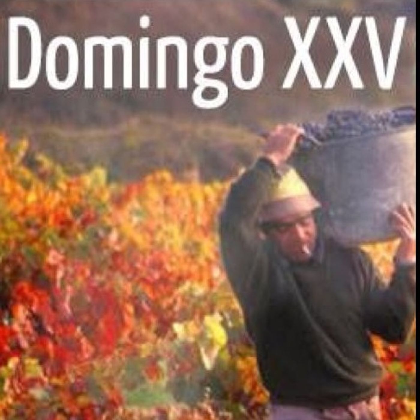 En Cristo
