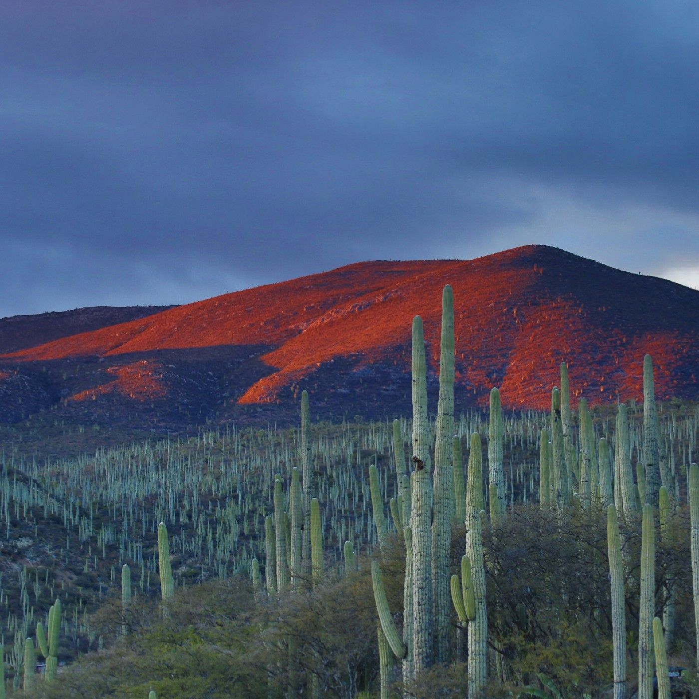 La tierra en México