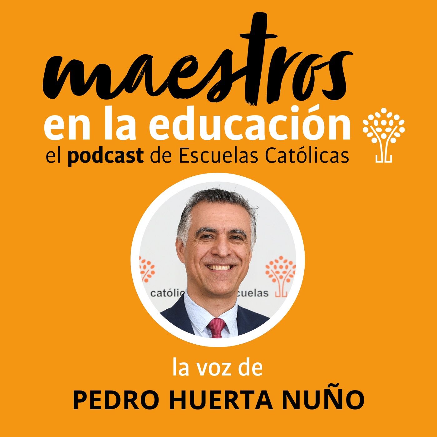 Maestros en la educación