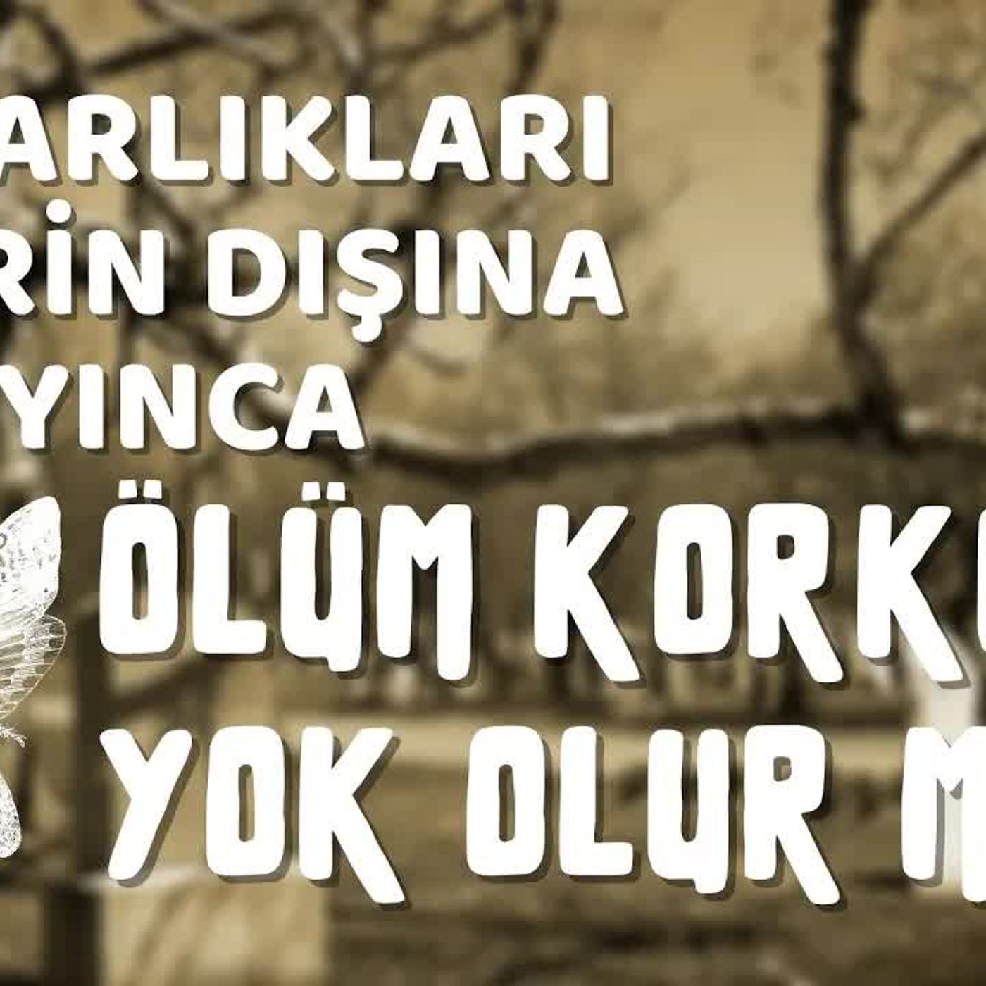 Mutluluk Demişken - Mehmet Büyükçorak