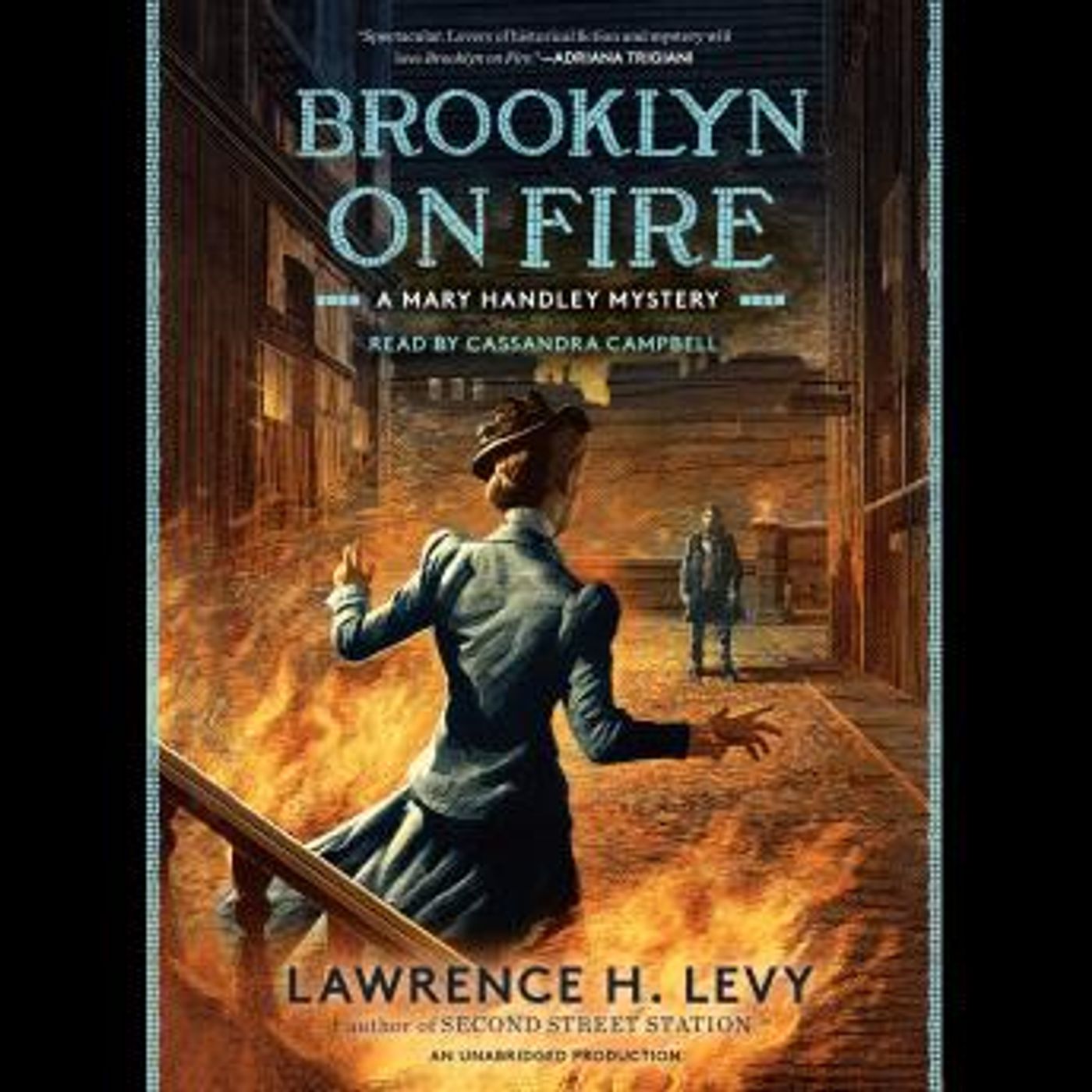 Brooklyn on Fire: A Mary Handley Mystery by Lawrence H. Levy episode artwork